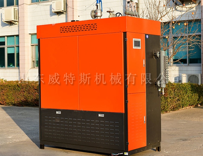 全预混燃气蒸汽发生器